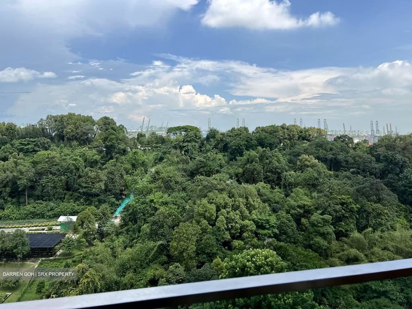 Normanton Park (D5), Apartment #574528981